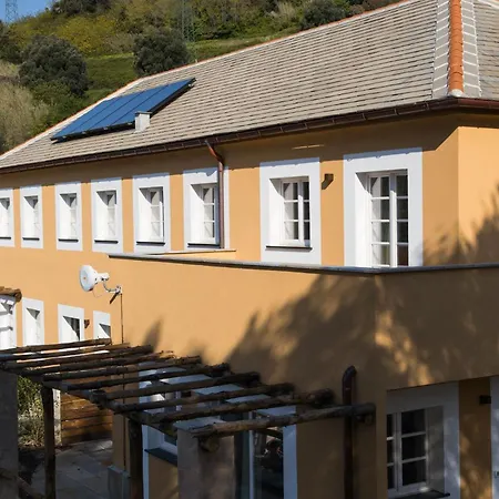 Mirandola 阿伦扎诺